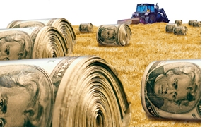 farm-money